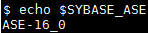 echo $SYBASE_ASE; # showing the right version