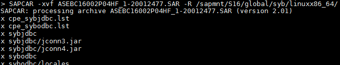 SAPCAR -xvf ASEBC16002P04HF_1-20012477.SAR -R /sapmnt/S16/global/syb/linuxx64_64; #SAPCAR succesful extraction of client libraries