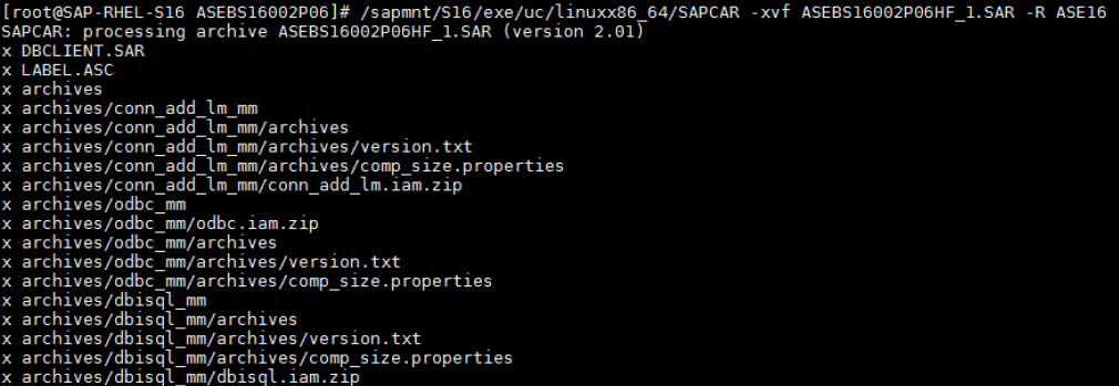 Showing how the media is decompressed. /sapmnt/S16/exe/uc/linuxx86_64/SAPCAR -xvf ASEBS16002P06HF_1.SAR -R ASE16